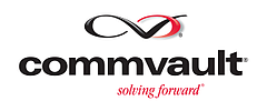 Lewan Commvault Platinum Partner