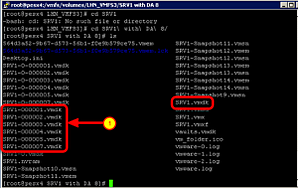 Verifying the VMDK is not in an ESX/vSphere Format