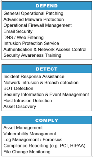 lewan advanced managed security provider options.png